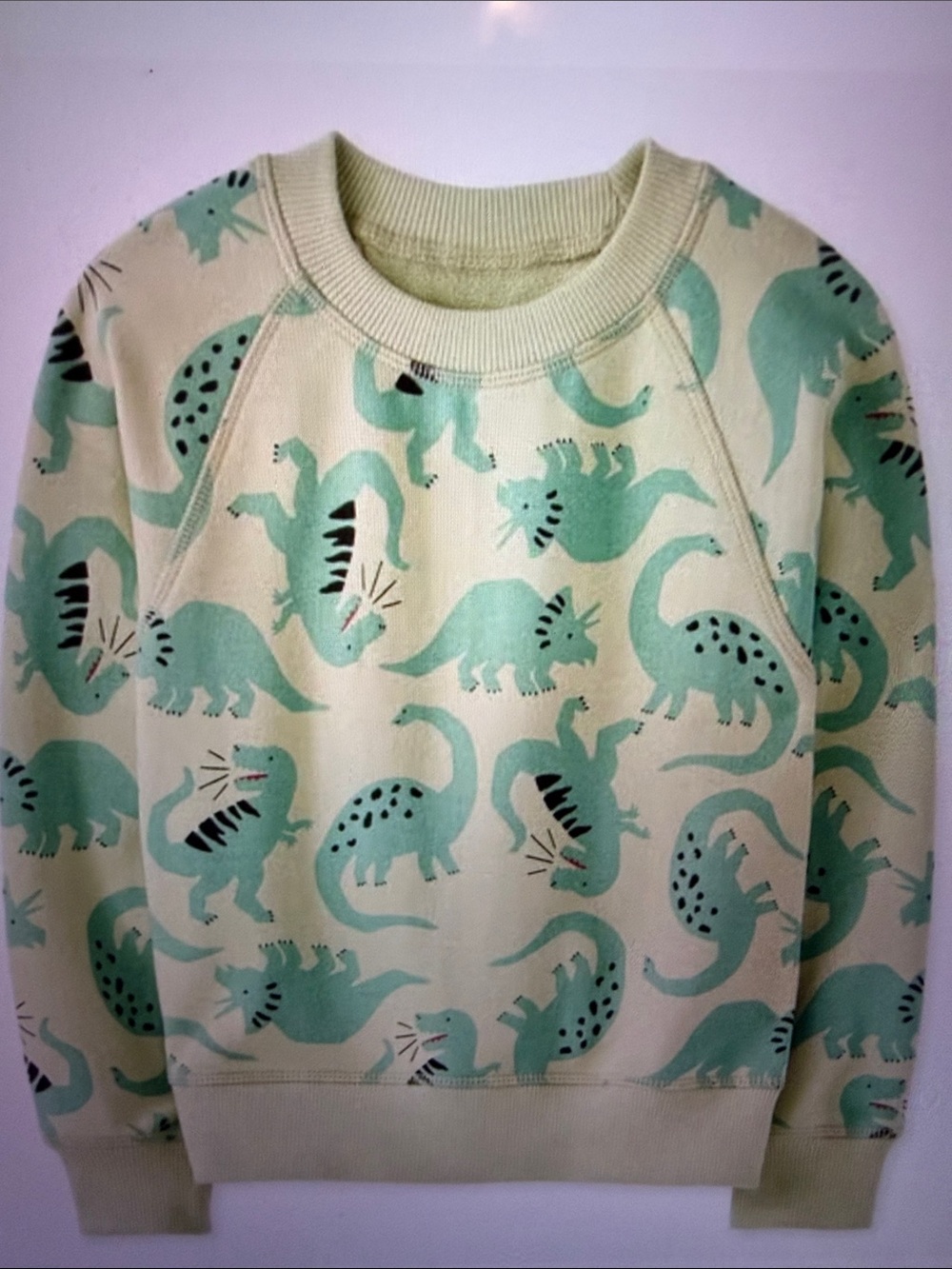 Hanna Anderson French Terry dinosaur  sweatshirt, 10